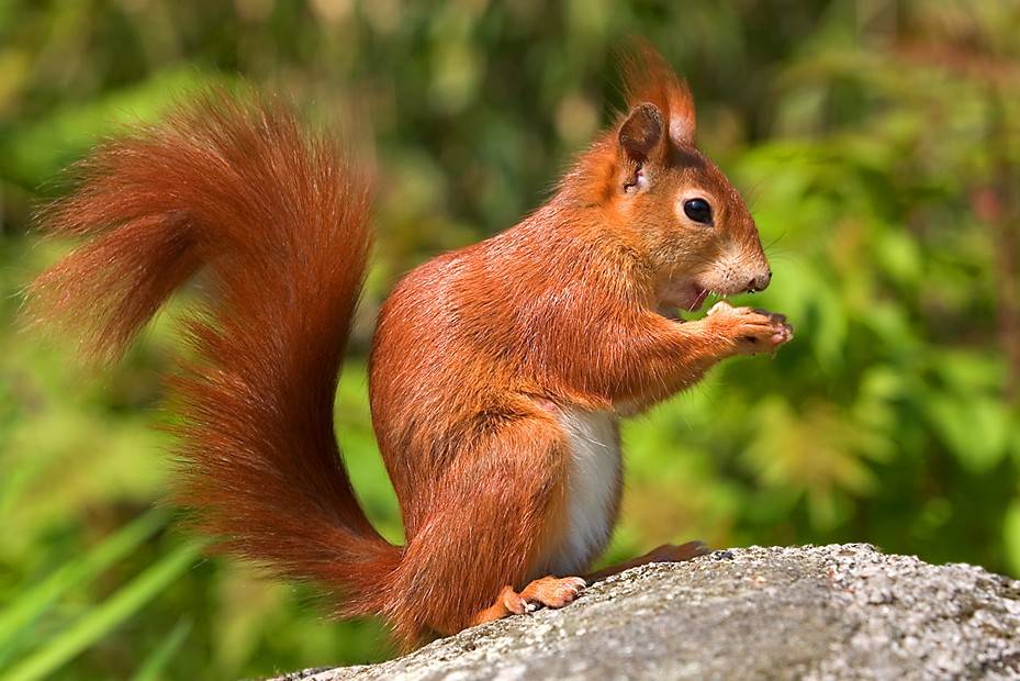 Suns and friends ... pojďte dále 